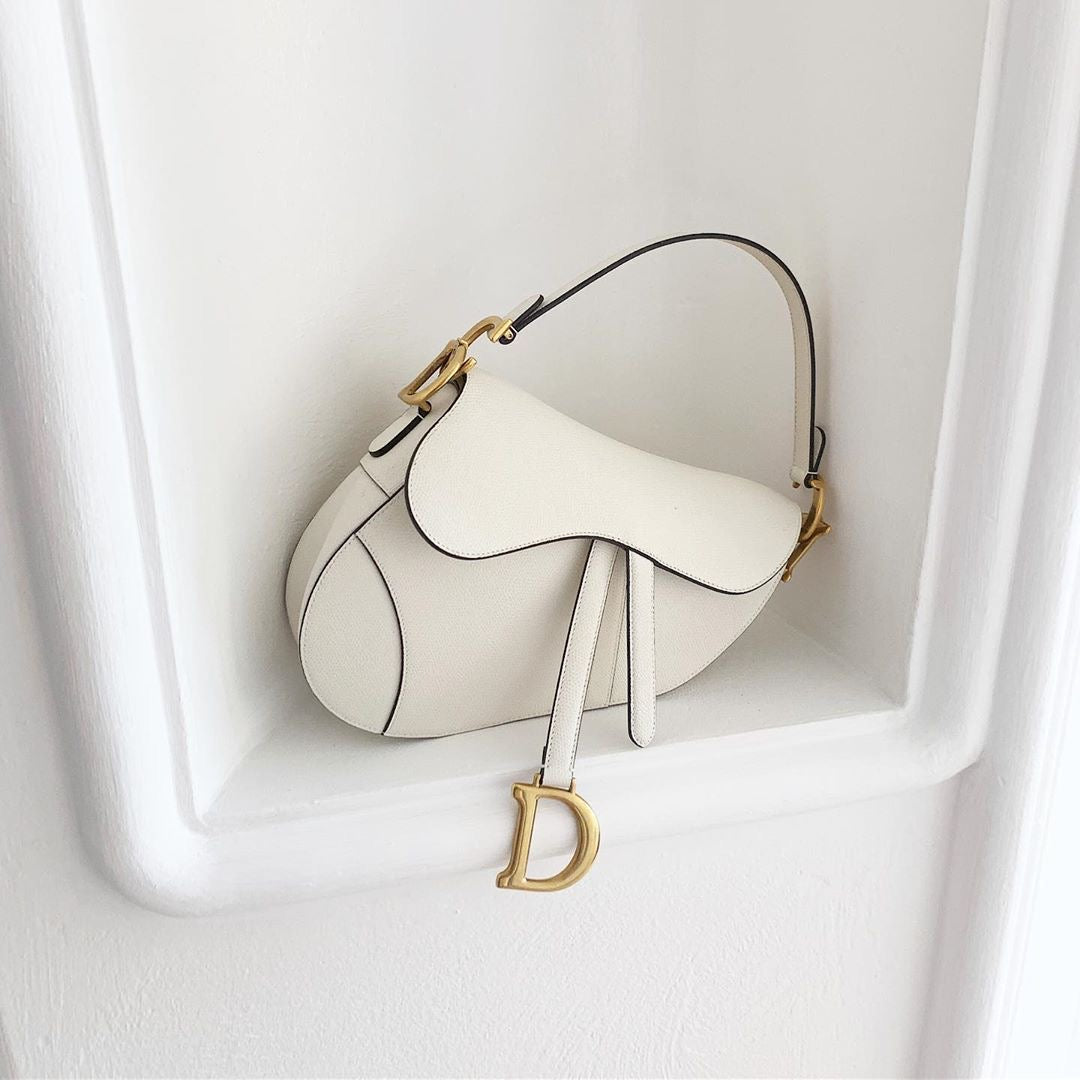 Saddle Dior bag